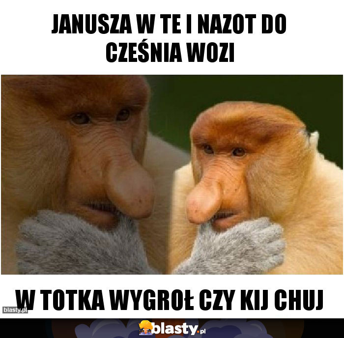 Janusza w te i nazot do cześnia wozi Janusza w te i nazot do cześnia wozi
