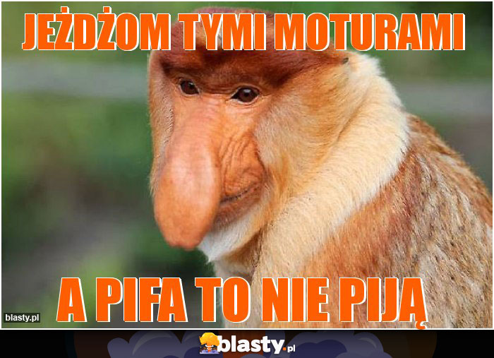jeżdżom tymi moturami jeżdżom tymi moturami