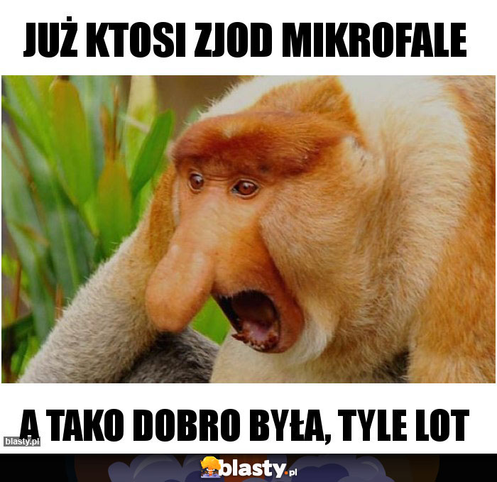 Już ktosi zjod mikrofale Już ktosi zjod mikrofale