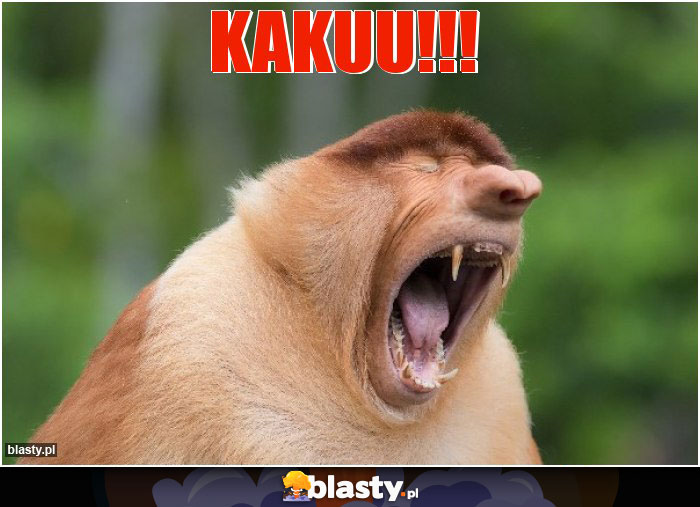 KAKUU!!!