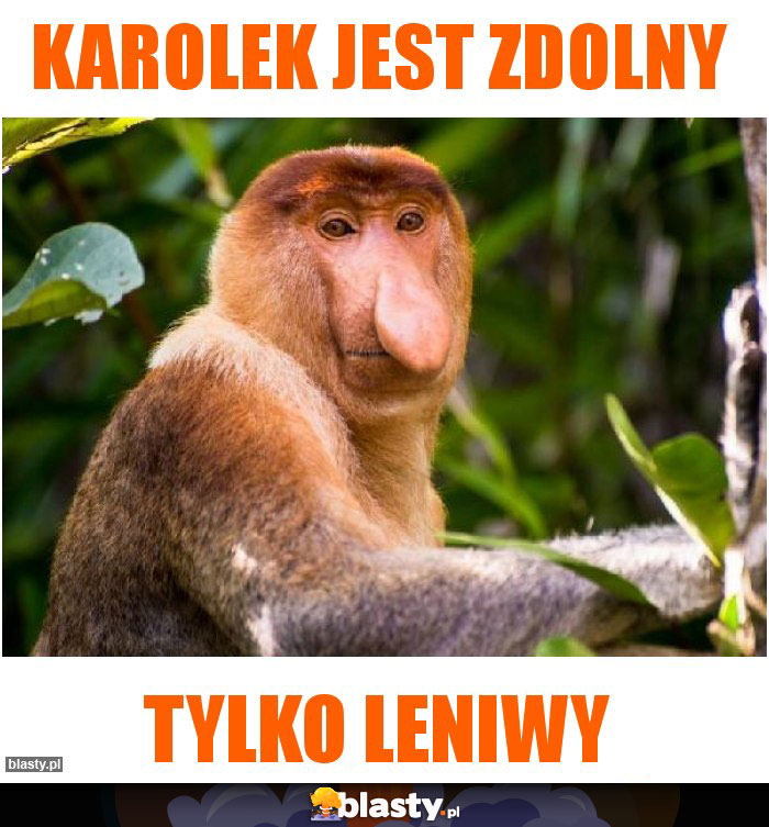 Karolek jest zdolny Karolek jest zdolny