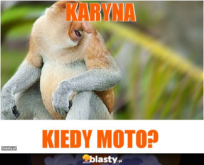 KARYNA