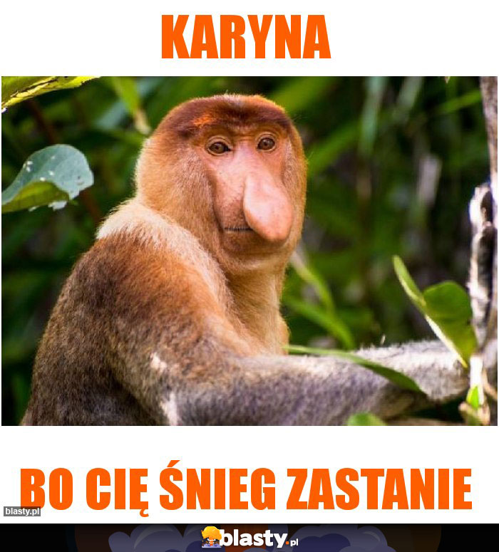 KARYNA