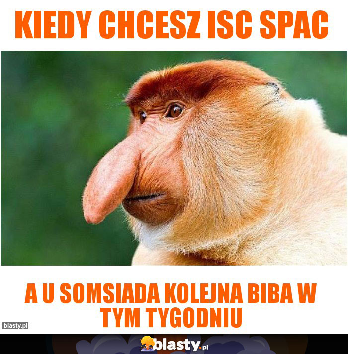 Kiedy chcesz isc spac Kiedy chcesz isc spac