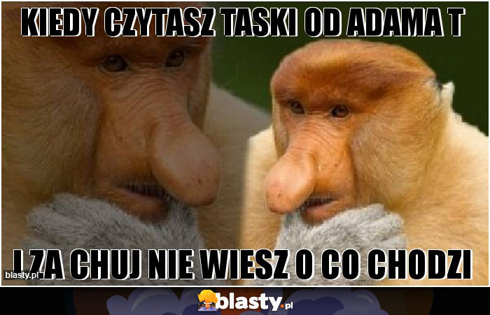 Kiedy czytasz taski od Adama T Kiedy czytasz taski od Adama T