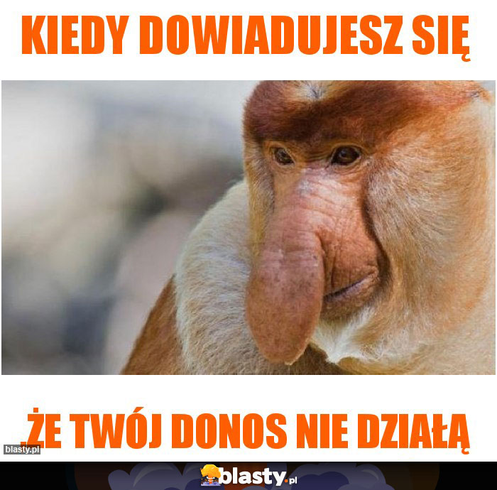 kiedy dowiadujesz się kiedy dowiadujesz się