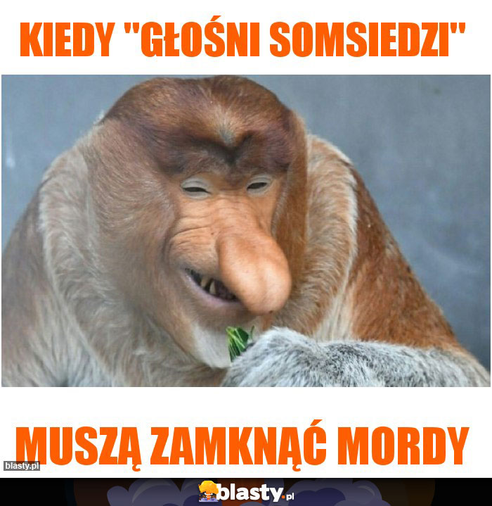 Kiedy Kiedy