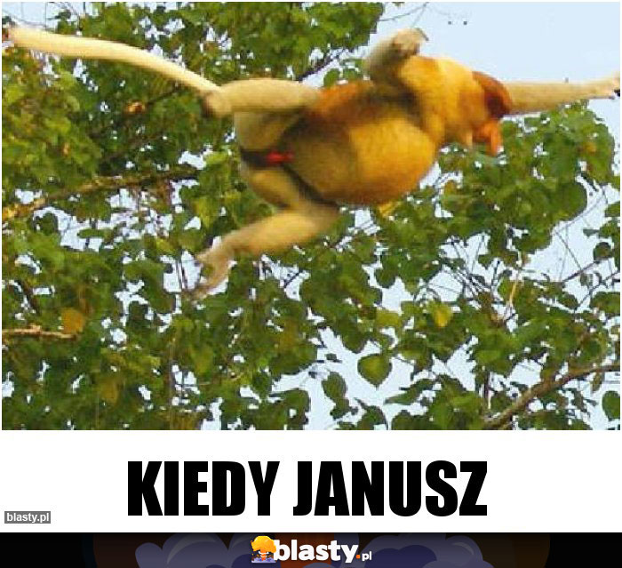 Kiedy Janusz Kiedy Janusz