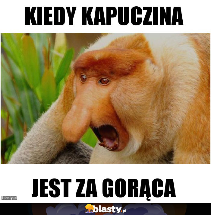 Kiedy kapuczina Kiedy kapuczina