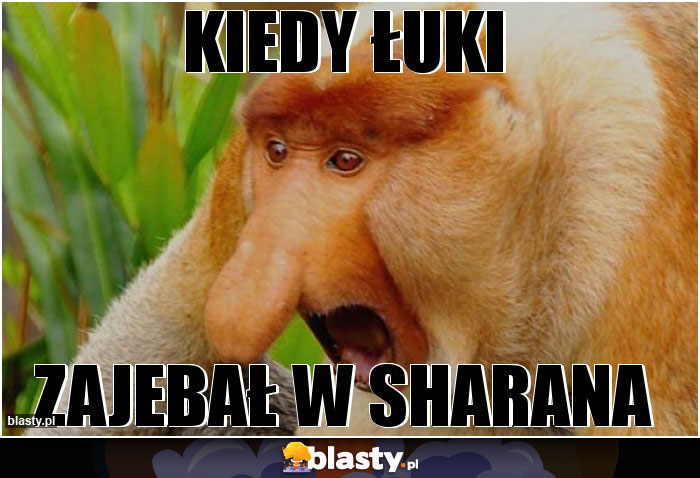 Kiedy Łuki Kiedy Łuki