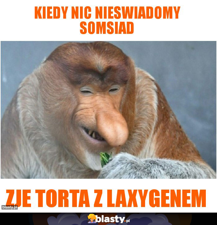 Kiedy nic nieswiadomy somsiad Kiedy nic nieswiadomy somsiad