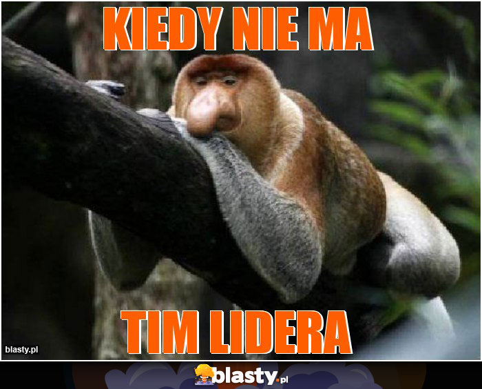 kiedy nie ma kiedy nie ma