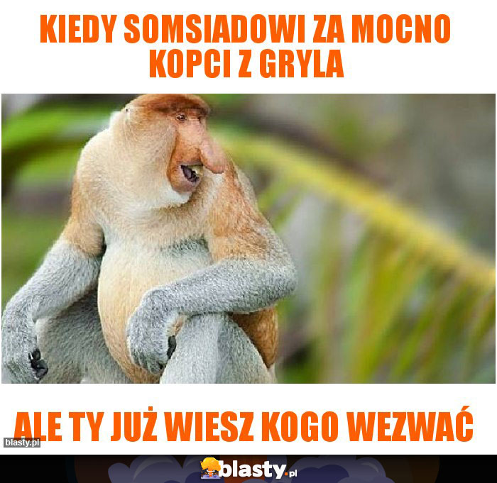 Kiedy somsiadowi za mocno kopci z gryla Kiedy somsiadowi za mocno kopci z gryla