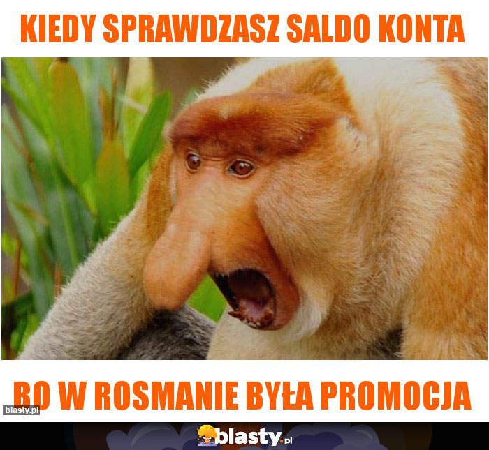 Kiedy sprawdzasz saldo konta Kiedy sprawdzasz saldo konta