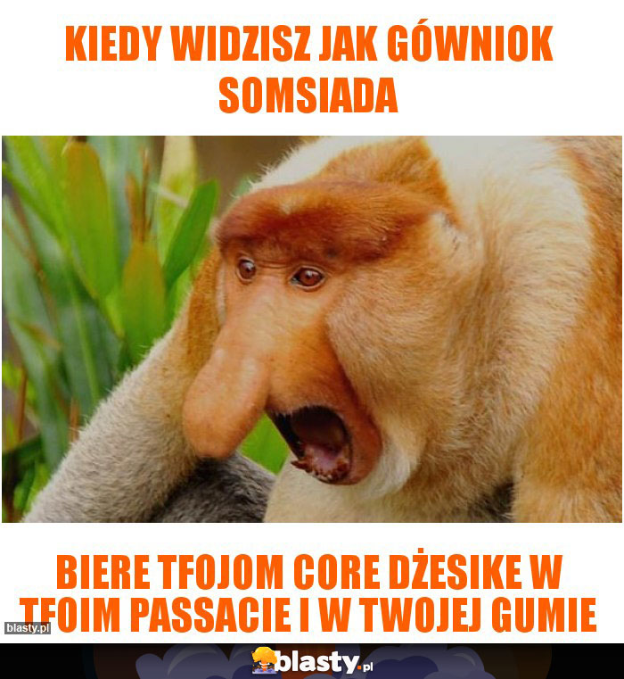 Kiedy widzisz jak gówniok somsiada Kiedy widzisz jak gówniok somsiada