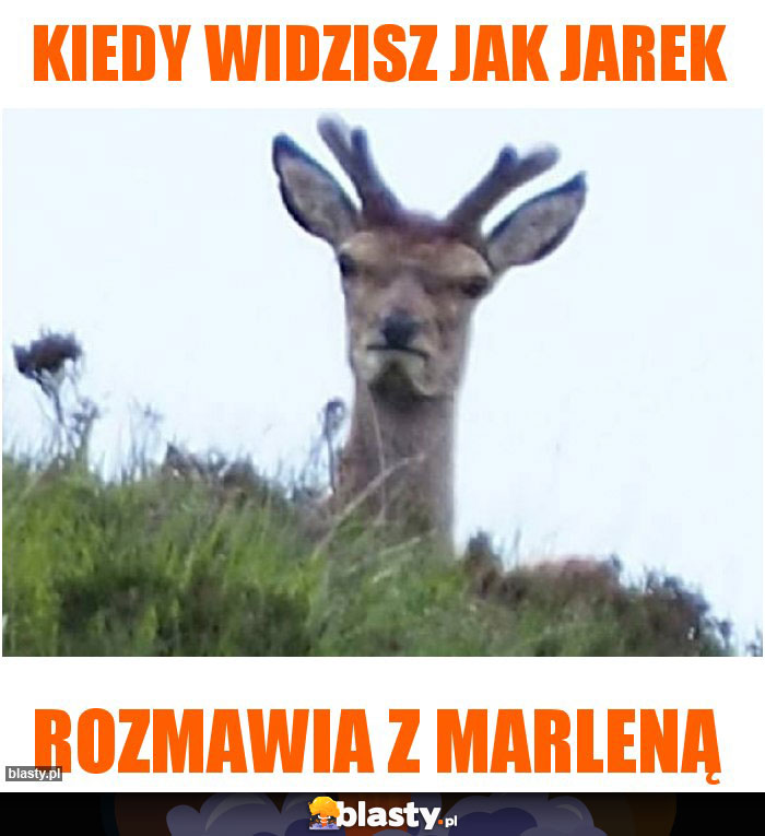 Kiedy widzisz jak Jarek Kiedy widzisz jak Jarek
