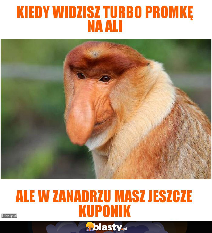 KIEDY WIDZISZ TURBO PROMKĘ NA ALI KIEDY WIDZISZ TURBO PROMKĘ NA ALI