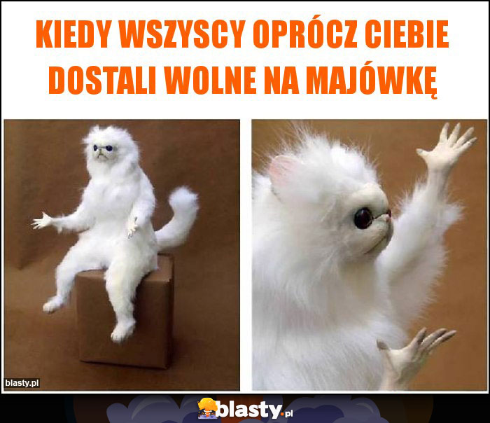 Kiedy wszyscy oprócz Ciebie dostali wolne na majówkę