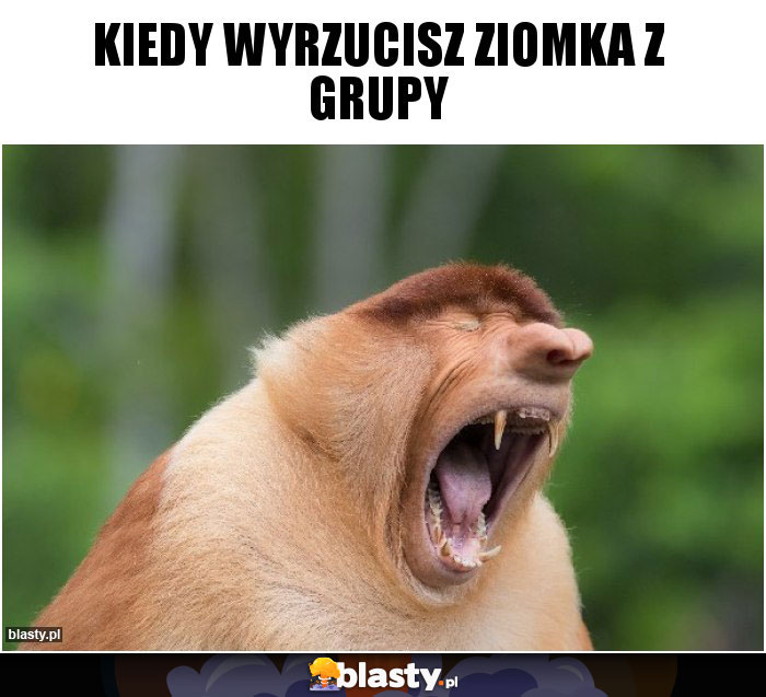 Kiedy wyrzucisz ziomka z grupy Kiedy wyrzucisz ziomka z grupy