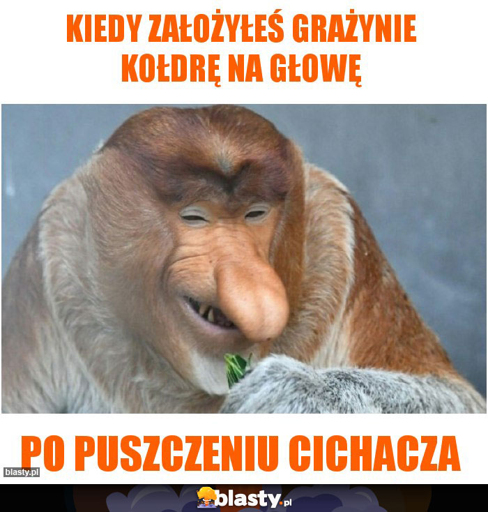 Kiedy założyłeś Grażynie kołdrę na głowę Kiedy założyłeś Grażynie kołdrę na głowę