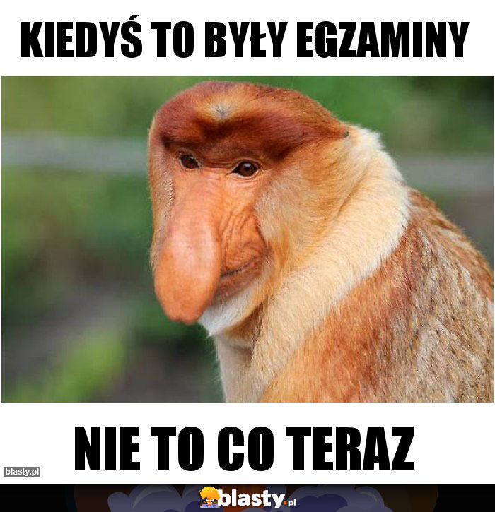 Kiedyś to były egzaminy Kiedyś to były egzaminy