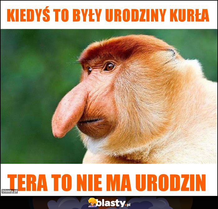 kiedyś to były urodziny kurła kiedyś to były urodziny kurła