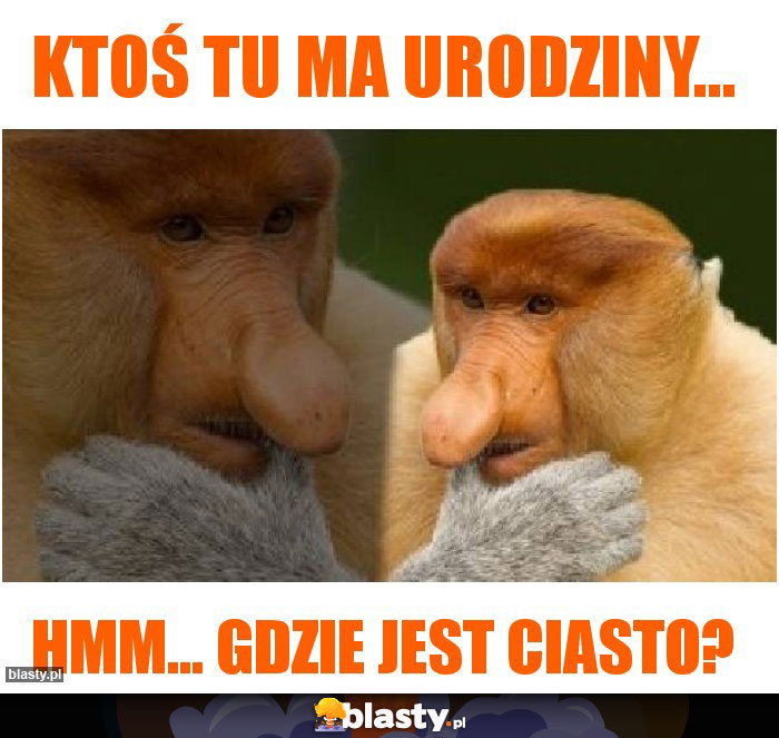 Ktoś tu ma urodziny... Ktoś tu ma urodziny...