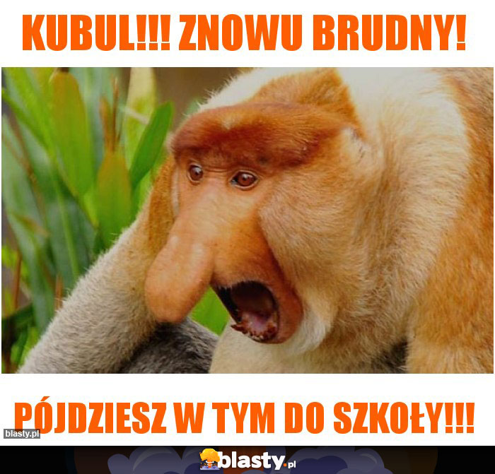 Kubul!!! Znowu brudny! Kubul!!! Znowu brudny!