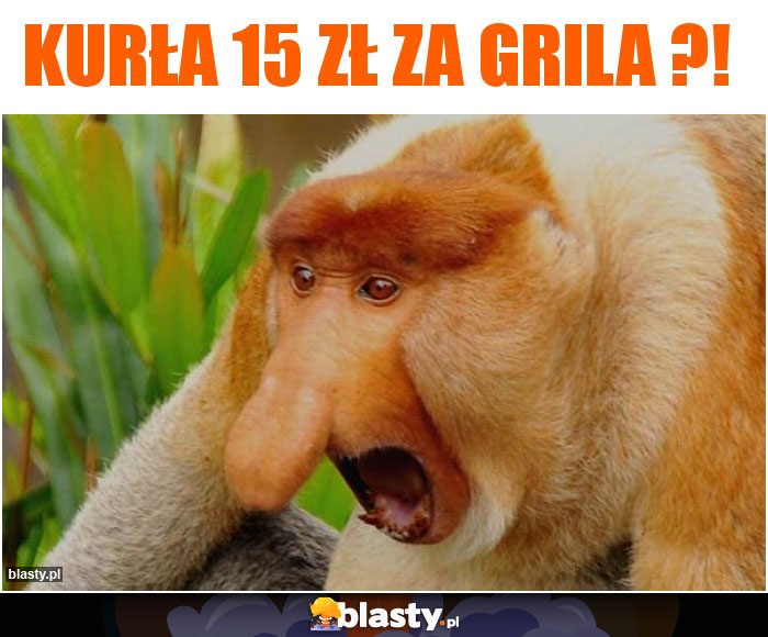 Kurła 15 zł za grila ?! Kurła 15 zł za grila ?!