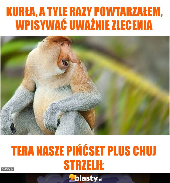 KURŁA, A TYLE RAZY POWTARZAŁEM, WPISYWAĆ UWAŻNIE ZLECENIA KURŁA, A TYLE RAZY POWTARZAŁEM, WPISYWAĆ UWAŻNIE ZLECENIA