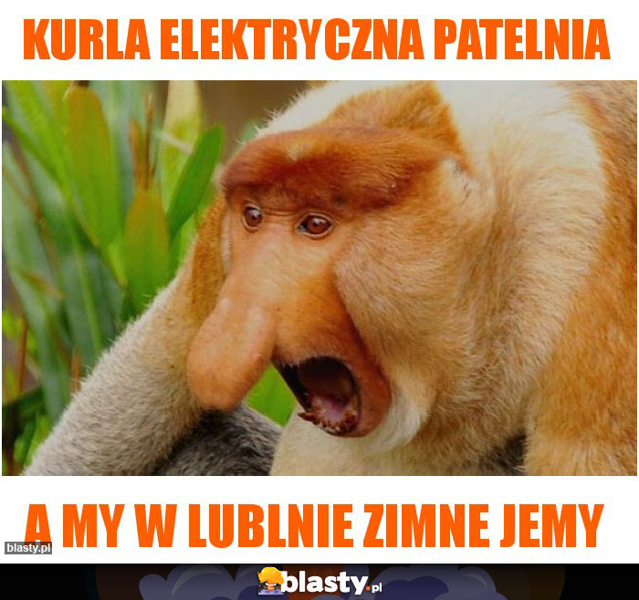 kurla elektryczna patelnia kurla elektryczna patelnia