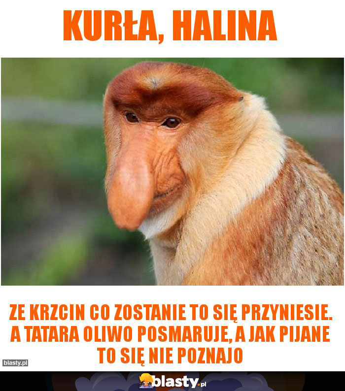 Kurła, Halina Kurła, Halina