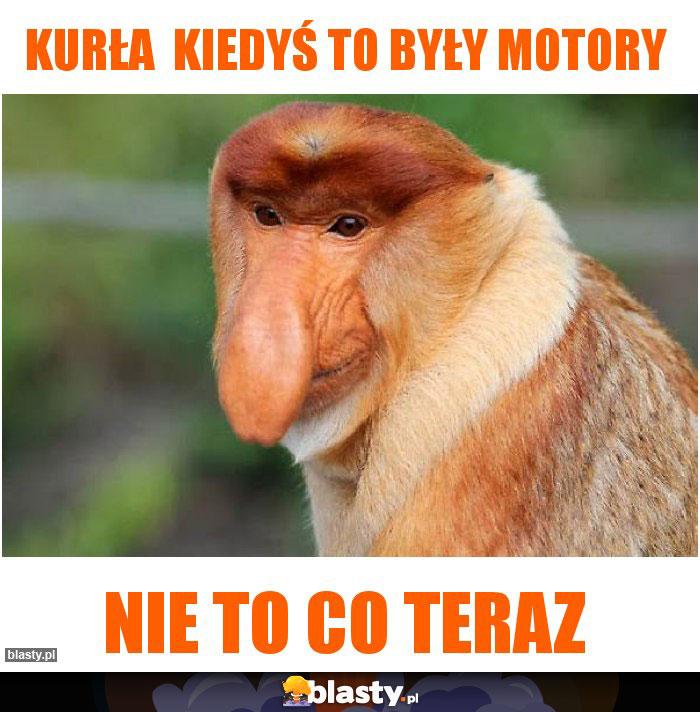 Kurła kiedyś to były motory Kurła kiedyś to były motory