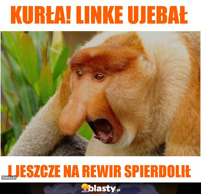 kurła! linke ujebał kurła! linke ujebał