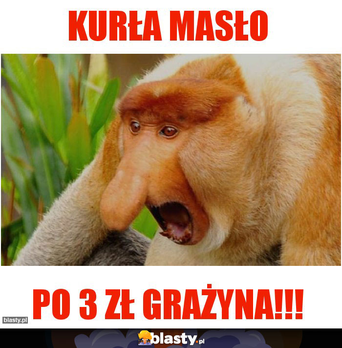 KURŁA MASŁO