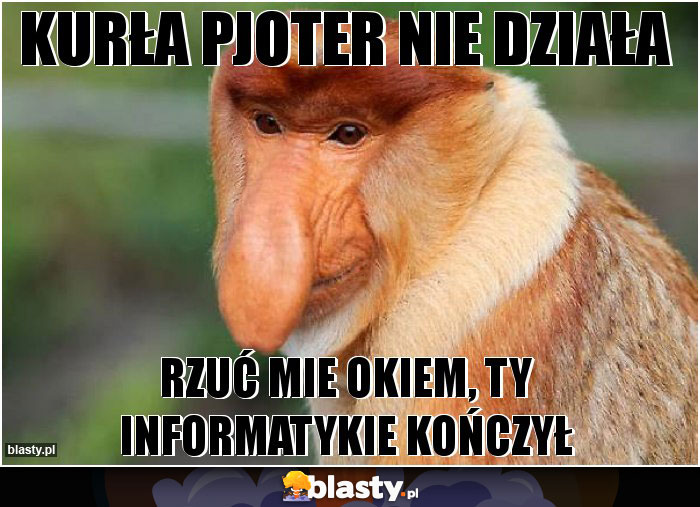 kurła pjoter nie działa kurła pjoter nie działa