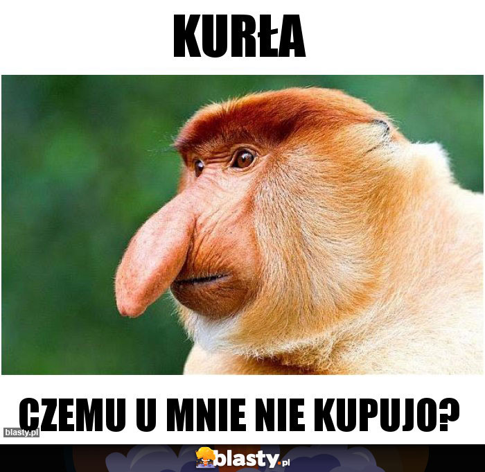 Kurła