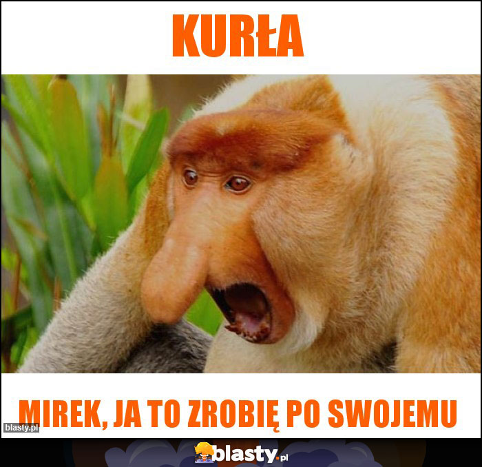 Kurła