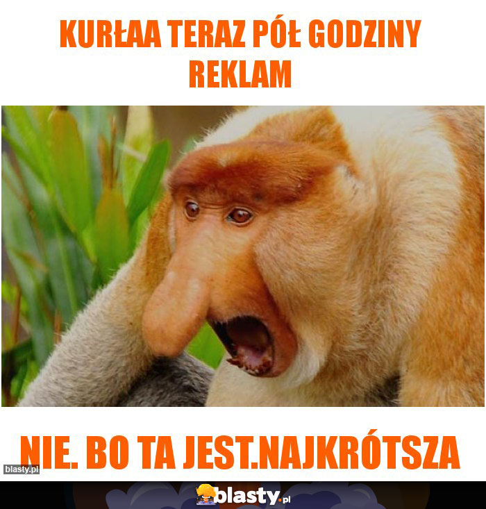 Kurłaa teraz pół godziny reklam Kurłaa teraz pół godziny reklam