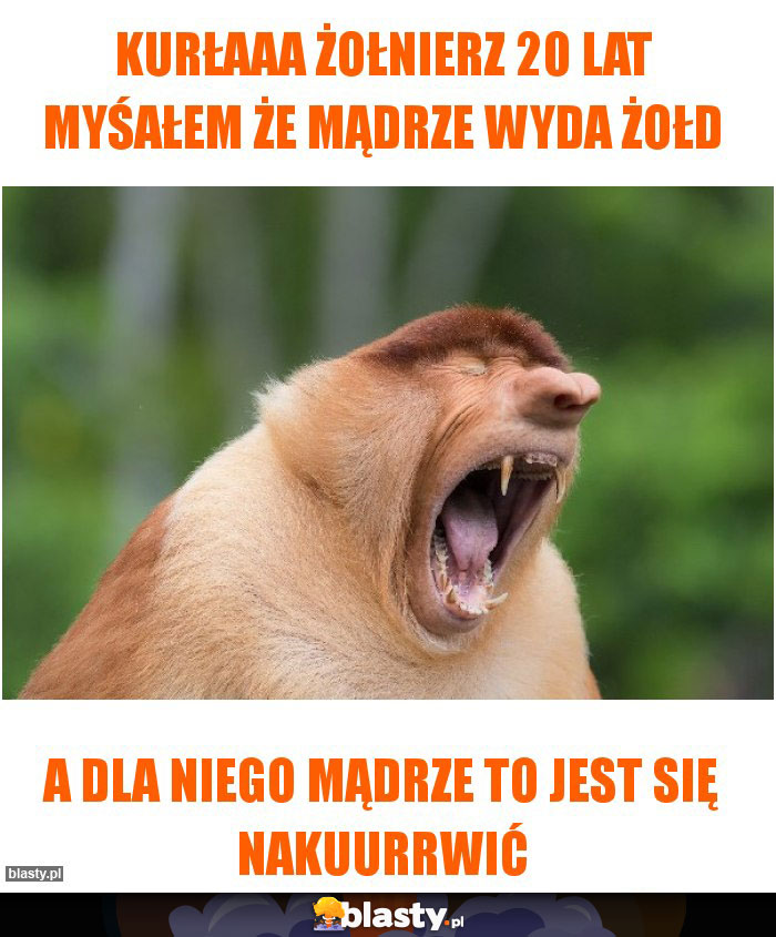 kurłaaa żołnierz 20 lat myśałem że mądrze wyda żołd kurłaaa żołnierz 20 lat myśałem że mądrze wyda żołd