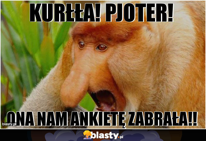 KURŁŁA! PJOTER! KURŁŁA! PJOTER!