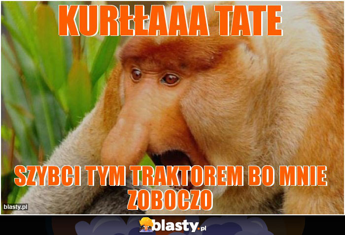 Kurłłaaa tate Kurłłaaa tate