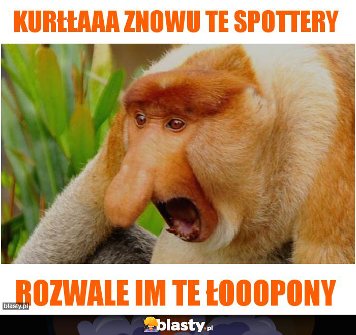 kurłłaaa znowu te spottery kurłłaaa znowu te spottery