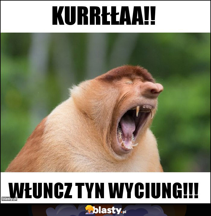 Kurrłłaa!! Kurrłłaa!!