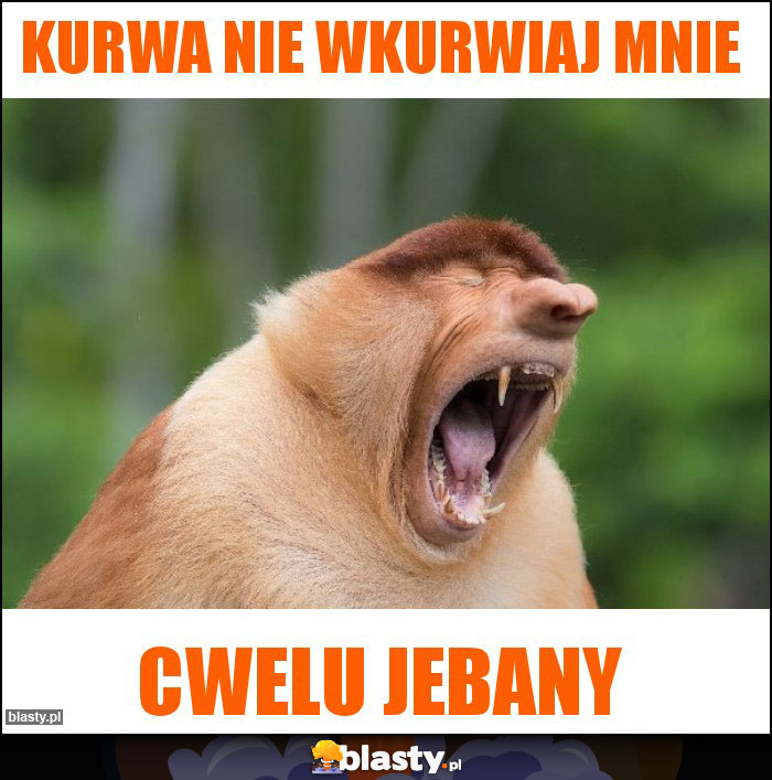kurwa nie wkurwiaj mnie kurwa nie wkurwiaj mnie