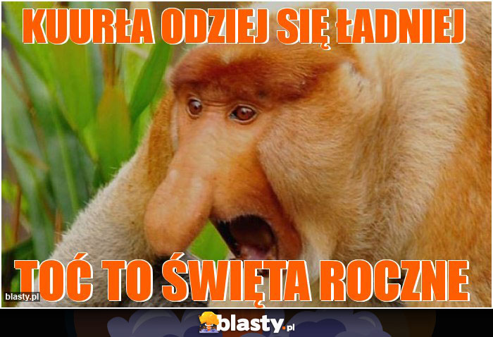 Kuurła odziej się ładniej Kuurła odziej się ładniej