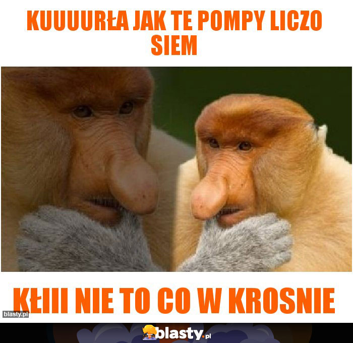 KUUUURŁA JAK TE POMPY LICZO SIEM KUUUURŁA JAK TE POMPY LICZO SIEM