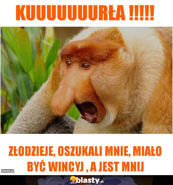KUUUUUUURŁA !!!!! KUUUUUUURŁA !!!!!