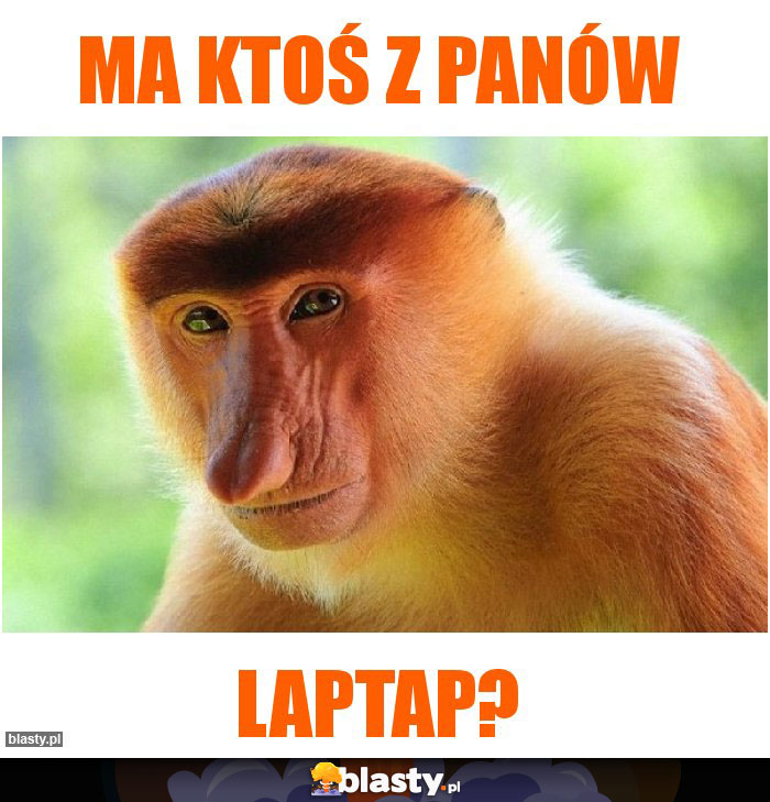 Ma ktoś z panów Ma ktoś z panów