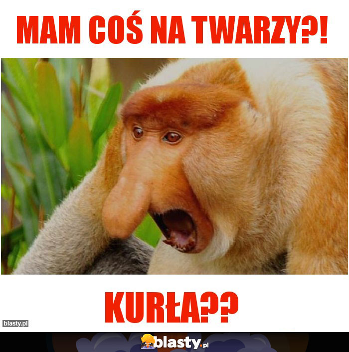 mam coŚ na twarzy?! mam coŚ na twarzy?!